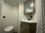vanity-toilet
