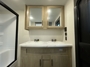 vanity