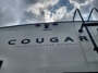 awning-2