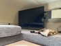 entertainment-center