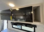 cabinet-2