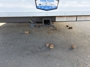 rear-hitch-rack