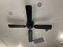 celining-fan