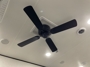 celing-fan
