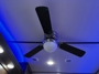 ceiling-fan