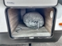 solar