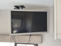 entertainment-center