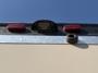 rear-camera-prep