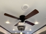 ceiling-fan
