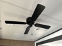 ceiling-fan