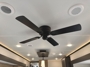 fan