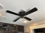 fan