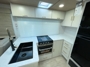 cabinet-1