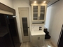 cabinet-1