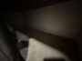 bunk-close-up-2