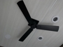 cieling-fan