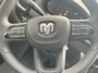driver-controls