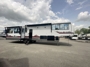 campside