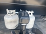 leveling-system