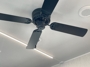 ceiling-fan
