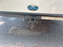 rear-hitch-rack
