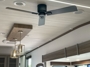 ceiling-fan