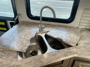 sink