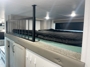 bunk-room