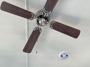 ceiling-fans