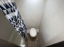 washer-dryer