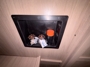 bottom-bunk