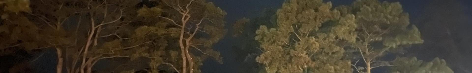 Shawn & Tori Cushman & Lantz