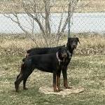 Arthur W Foltz Jr