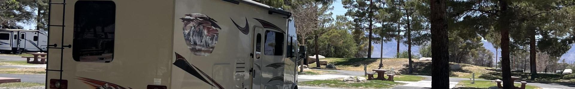 Daniel & Gloria Trim