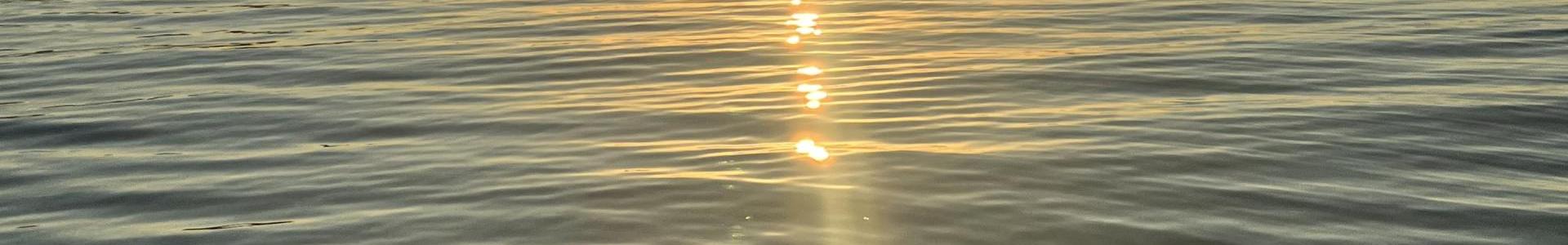 Becky Schneider