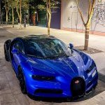 VIS Investment LLC