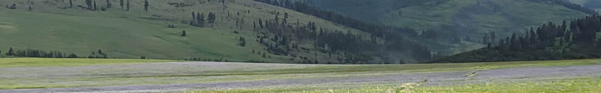 Parry Farms LLC