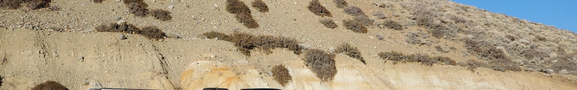 Steve Bailey