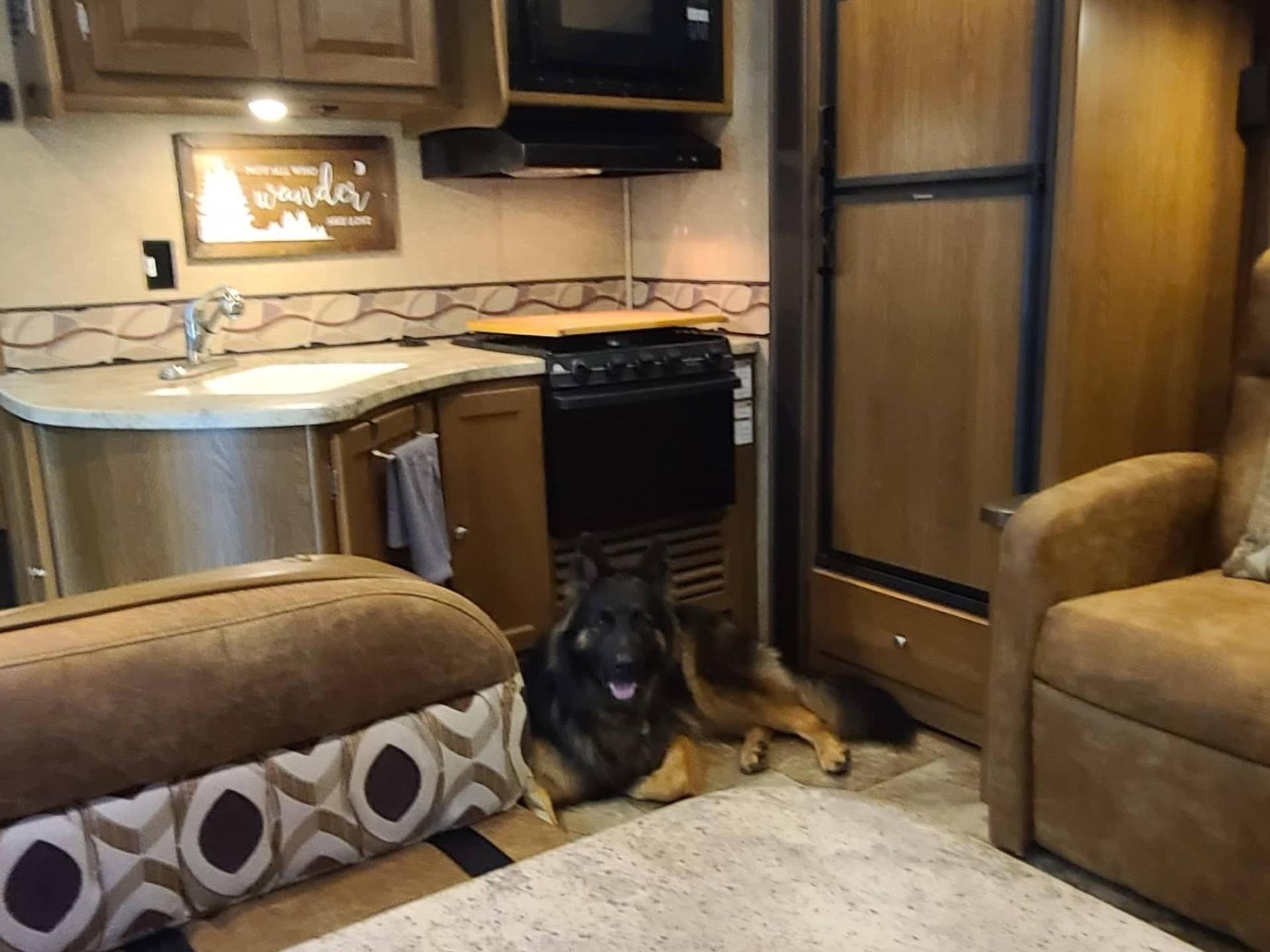 2015 COACHMEN LEPRECHAN 31