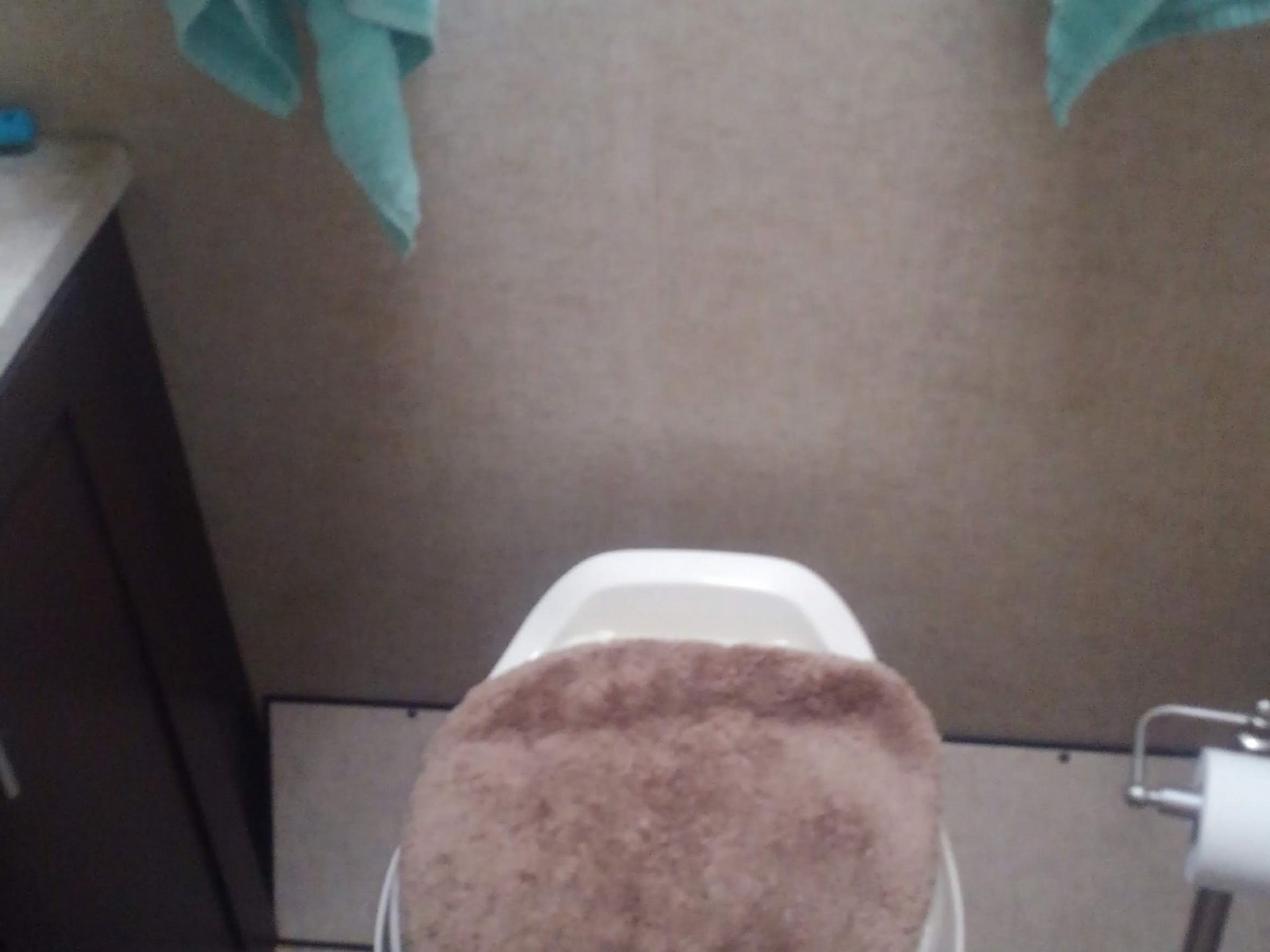 2017 Forest River Wolf pup 16FQC