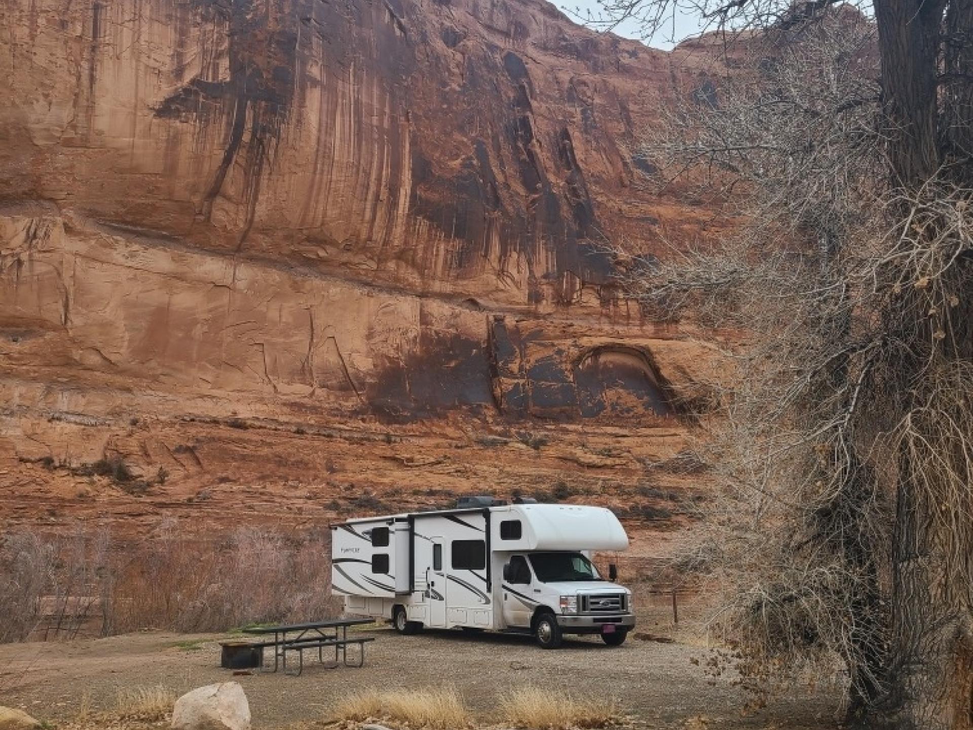 2020 FOREST RIVER FORESTER 3251DSF