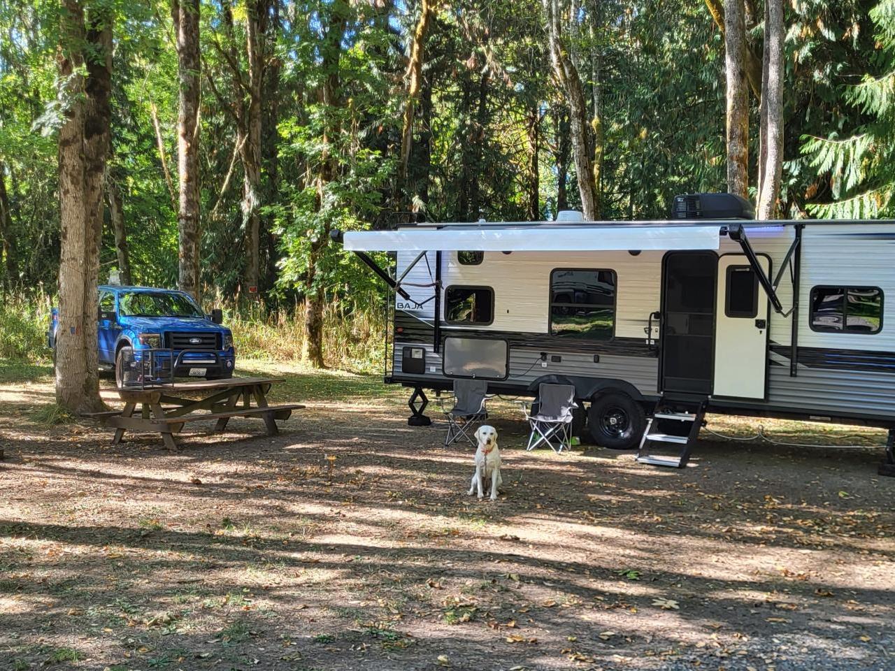 2022 JAYCO JAY FLIGHT  264BHW 