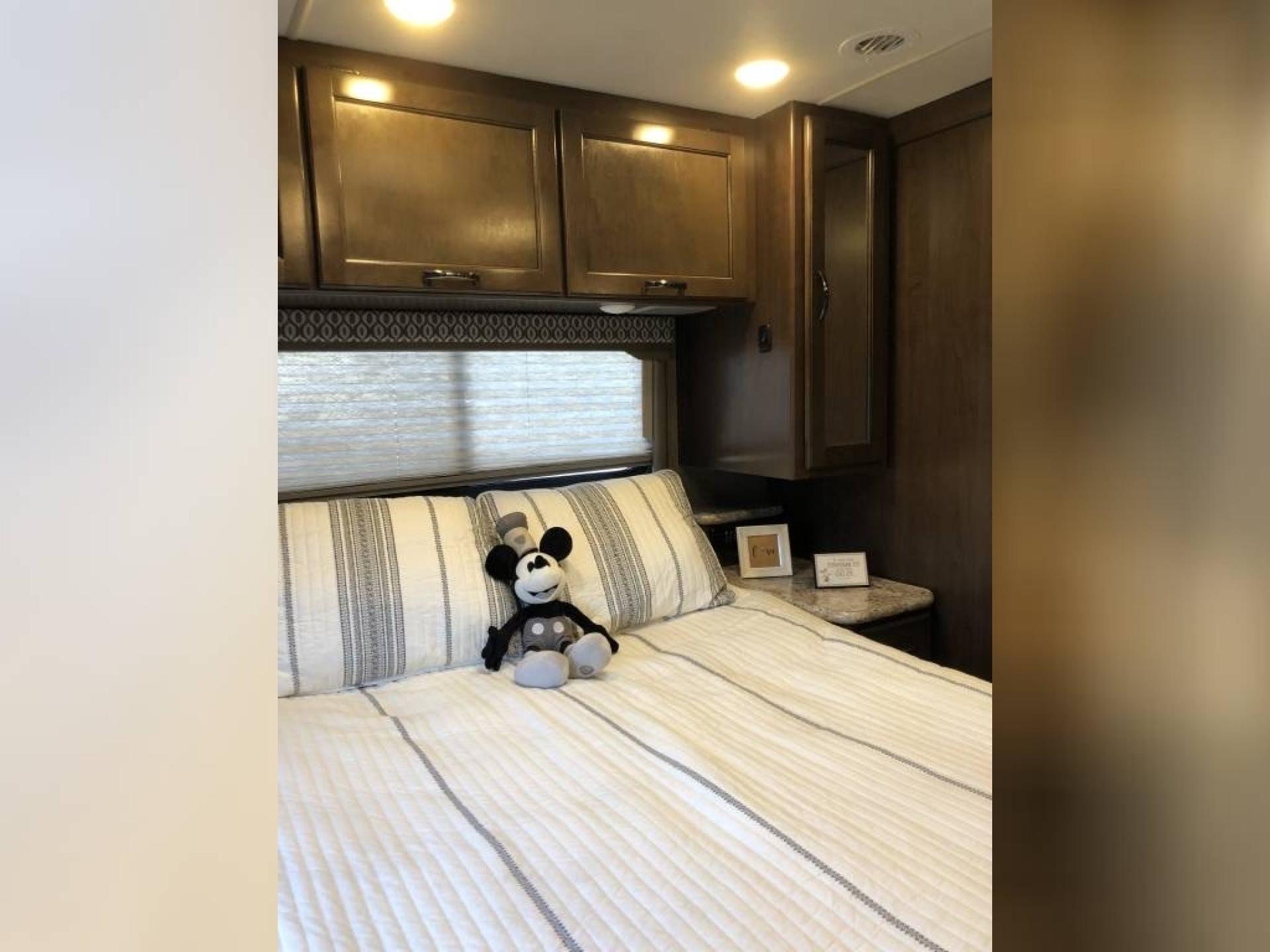2017 THOR MOTOR COACH FREEDOM ELITE 30FE