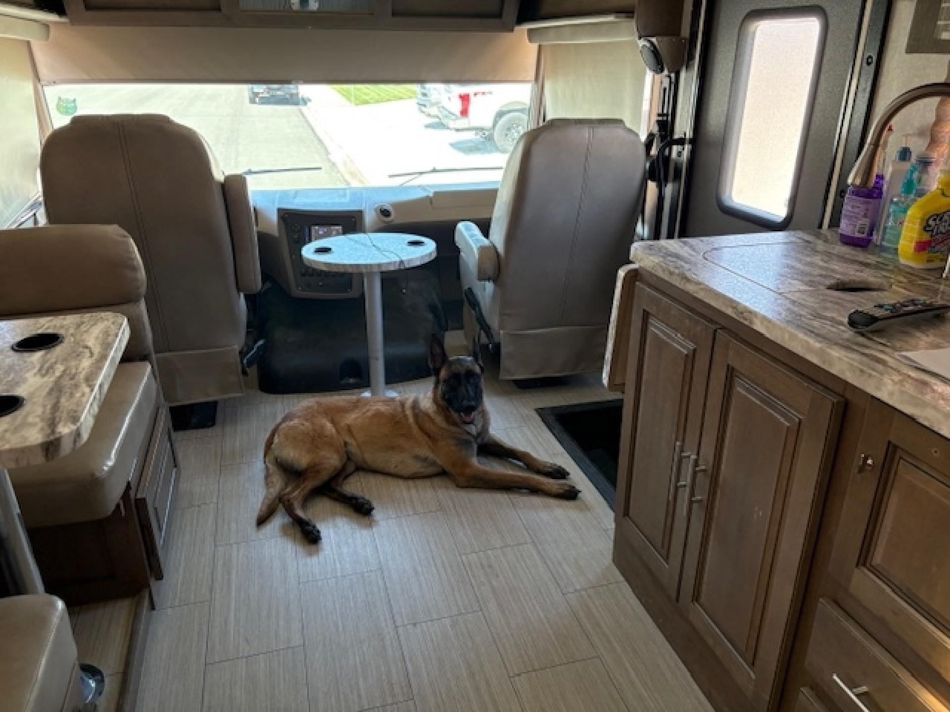 2019 FOREST RIVER FR3 33DS
