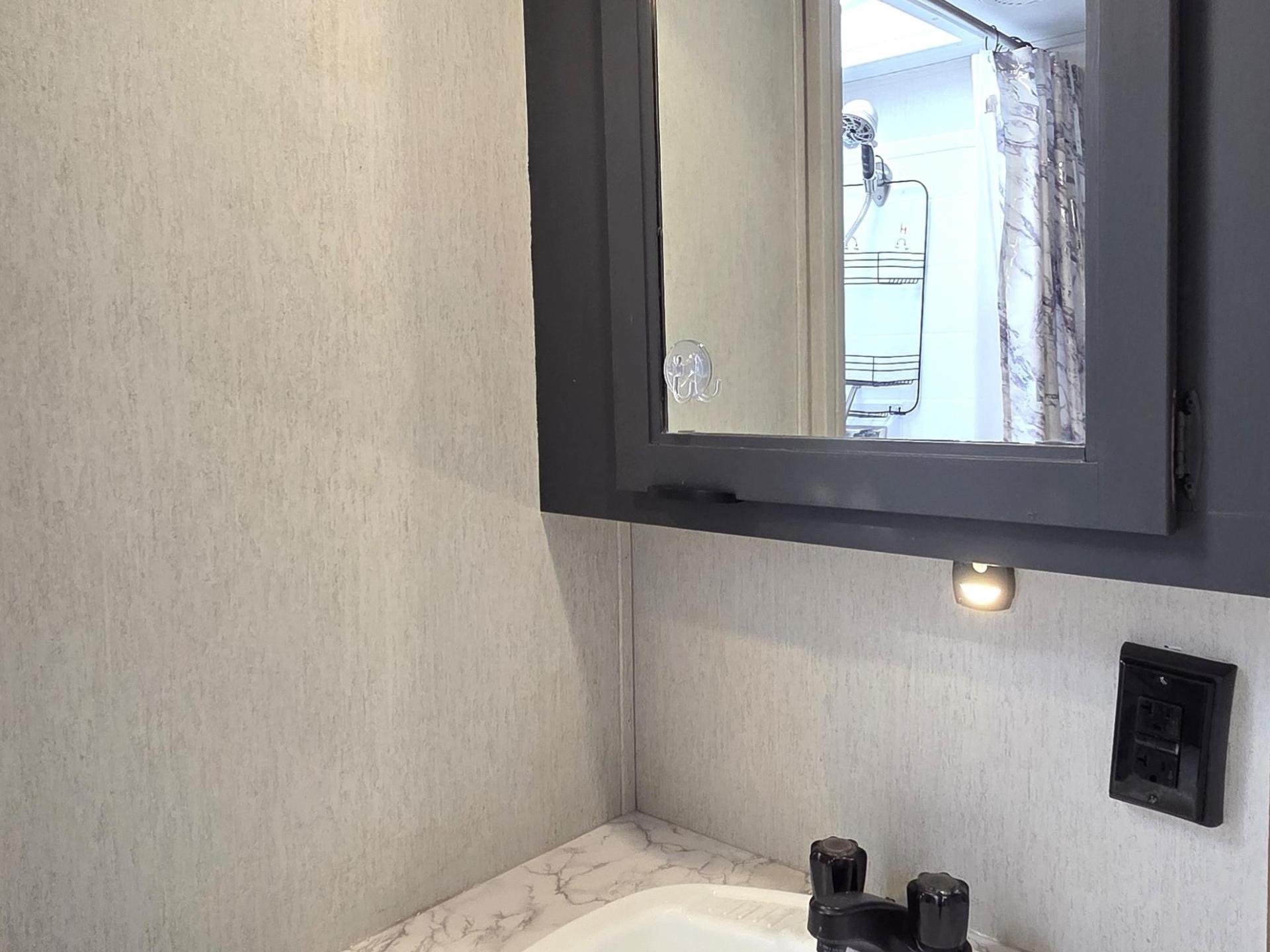 2024 FOREST RIVER ARCTIC WOLF 3660