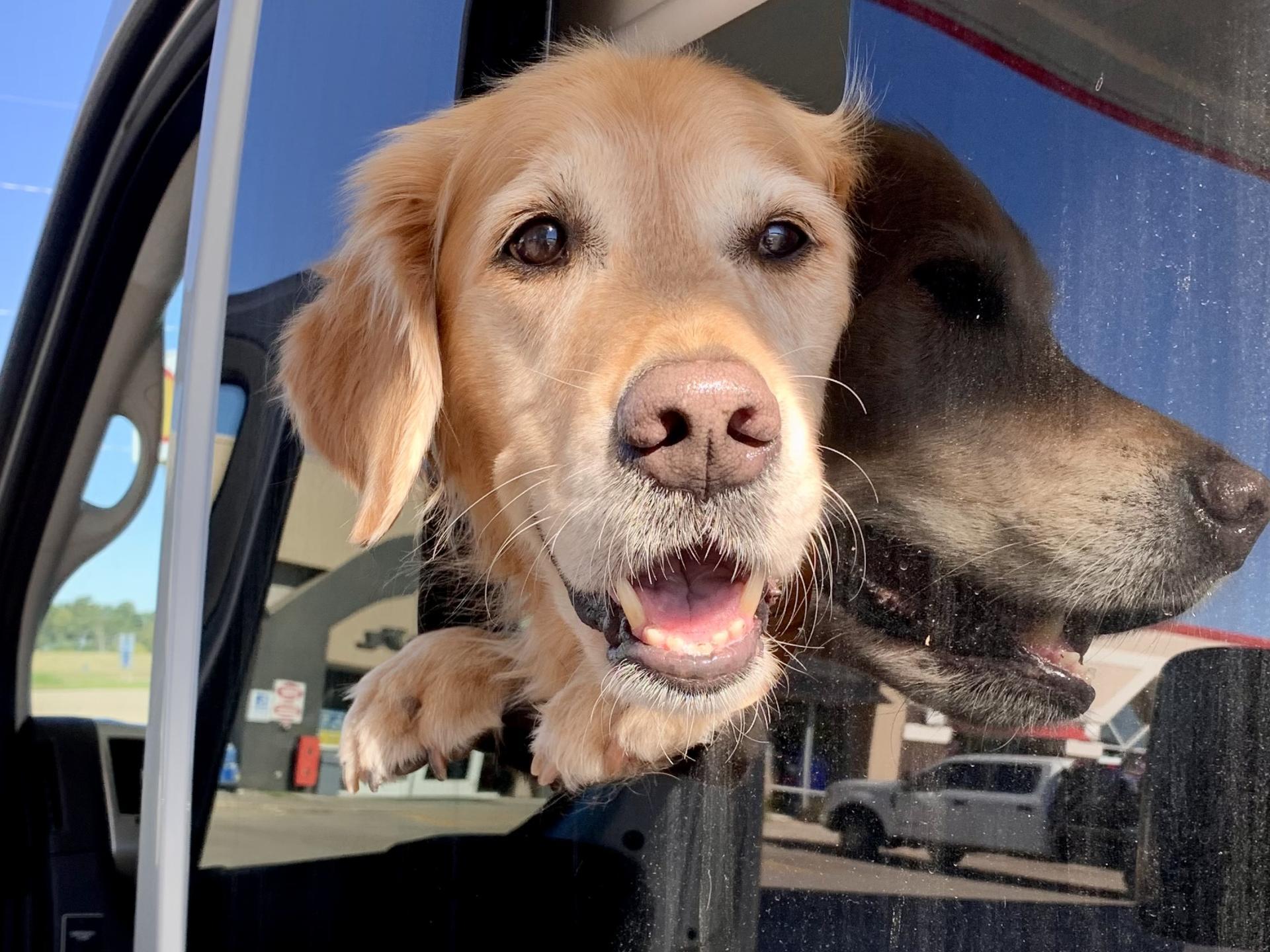 2022 THOR MOTOR COACH RIZE 18M