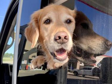 2022 THOR MOTOR COACH RIZE 18M