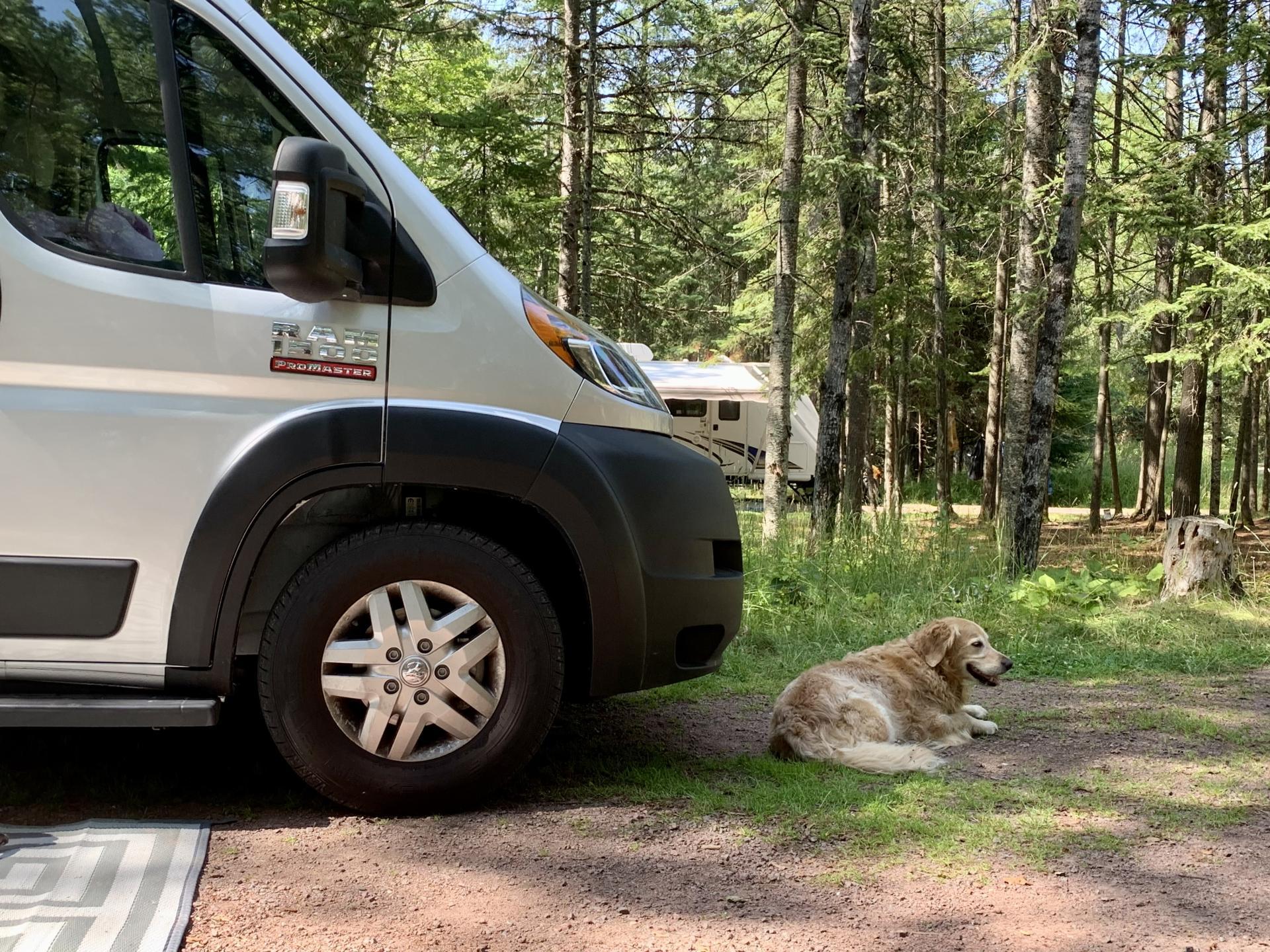 2022 THOR MOTOR COACH RIZE 18M