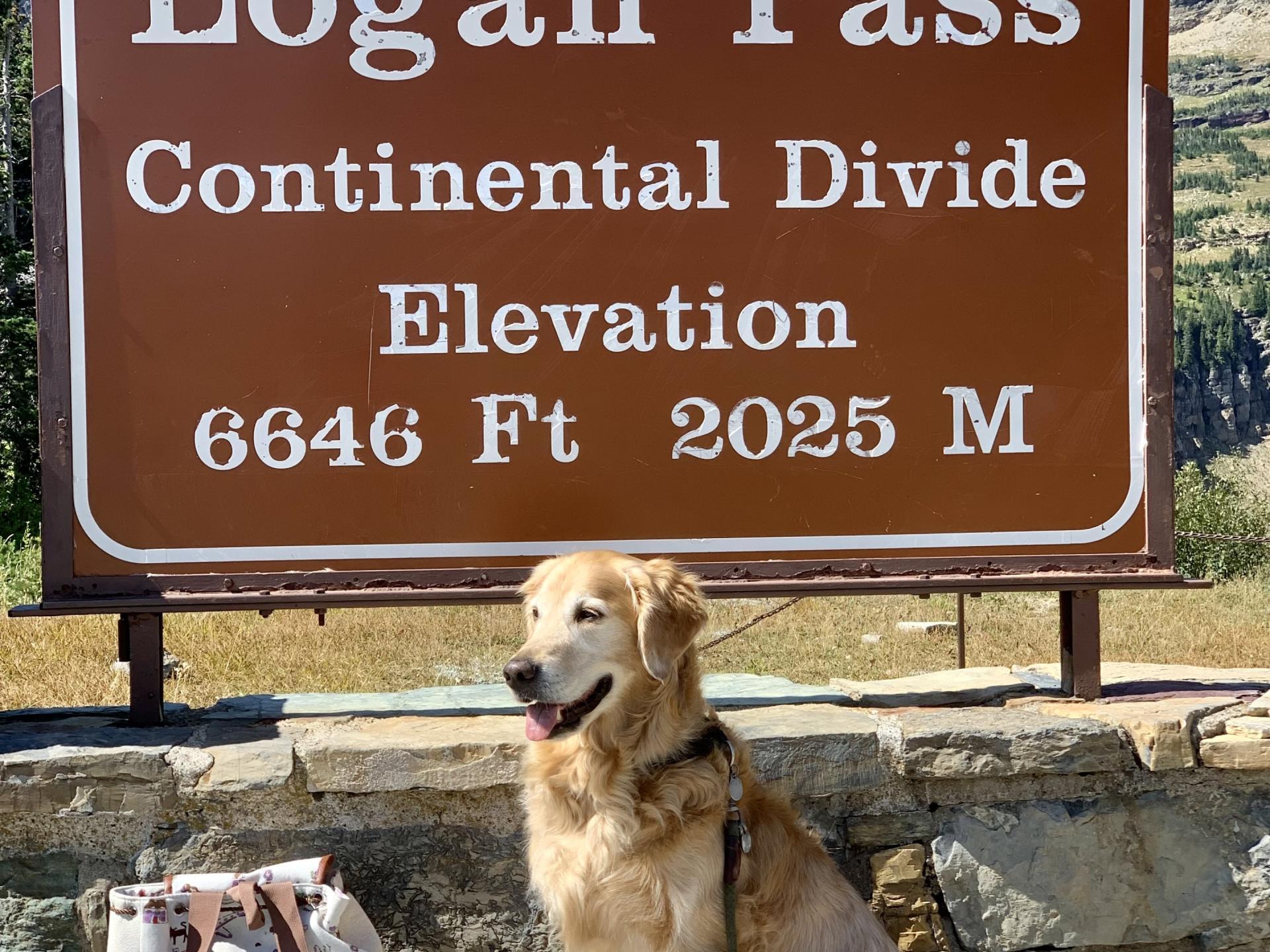 2022 THOR MOTOR COACH RIZE 18M