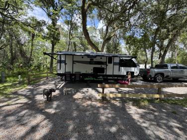 2025 FOREST RIVER SALEM 29BDBX